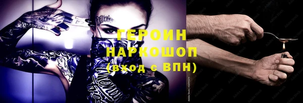 индика Богородицк