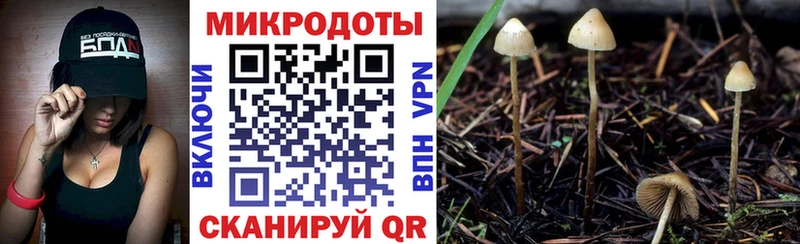 Галлюциногенные грибы прущие грибы где найти Буйнакск